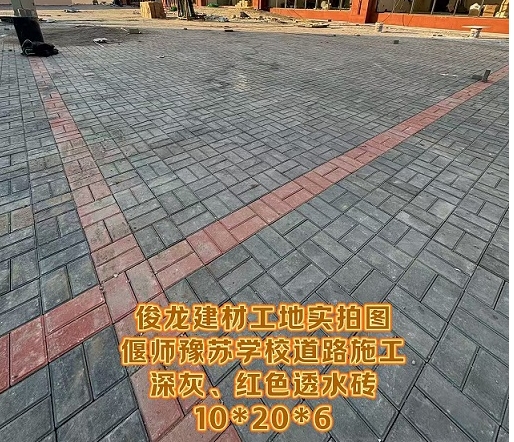 偃師豫蘇學(xué)校道路施工（深灰、紅色透水磚 10*20*6）